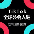 Global TikTok Agency MCN Registration Service